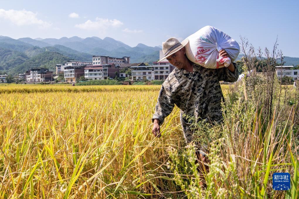 果敢老街华纳开户